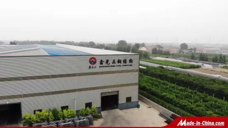 Professional Manufacturer Economical SGS BV CE Prefabricated Steel Structure Warehouse (SS