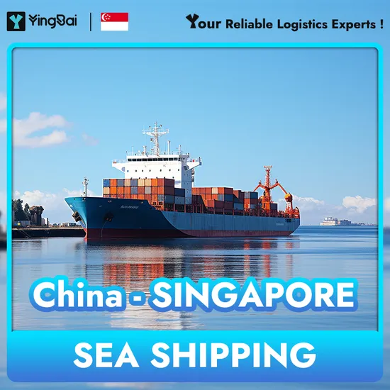 Speedy Ningbo to The Singapore Sea Shipping Solutions Spring Tube Shipping Logistics 