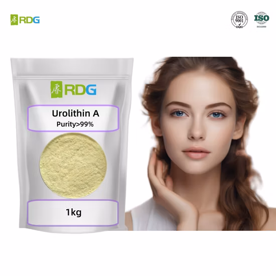 Netherlands Holland Canada Warehouse Available BMK Oil BMK Powder CAS 20320