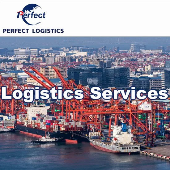 DDU DDP Drop Shipping From China to De/Germany Amazon Fba 