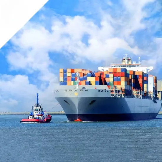 Air Cargo Shipping/Sea Shipping/Freight Forwarder Shipping/Door to Door Shipping/Express Shipping/Sea Freight Shipping/Drop Shipping to Singapore/Malaysia/Thail 