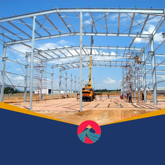 Professional Manufacturer Economical SGS BV CE Prefabricated Steel Structure Warehouse (SS