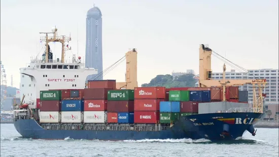 DDP/DDU Cheap Sea Shipping From China to UK Amazon Fba Freight Forwarder 