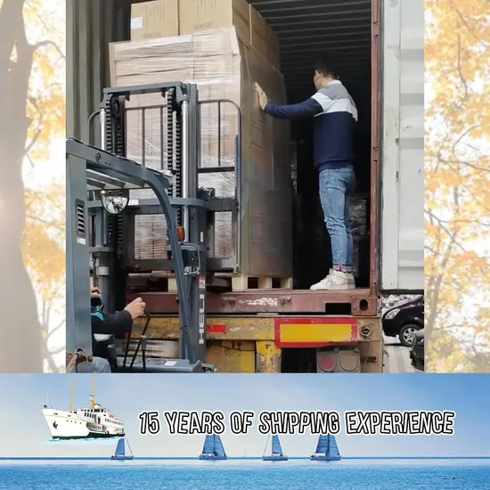 International Fast LCL FCL Sea Freight Shipping Services From China to Philippines, Malaysia, Singapore 