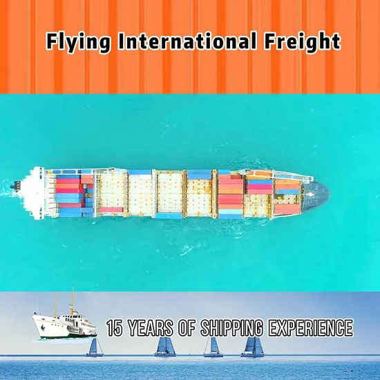 Cheapest Air/Sea/Railway Freight Forwarder with Shipping Service From China to Us UK UAE Europe for Dropshipping Amazon Fba DDU DDP by Fast Air Freight Express 
