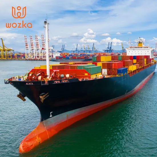Amazon Fba Door to Door DDP DDU Sea Freight/Air Shipping From China to Belgium Europe 