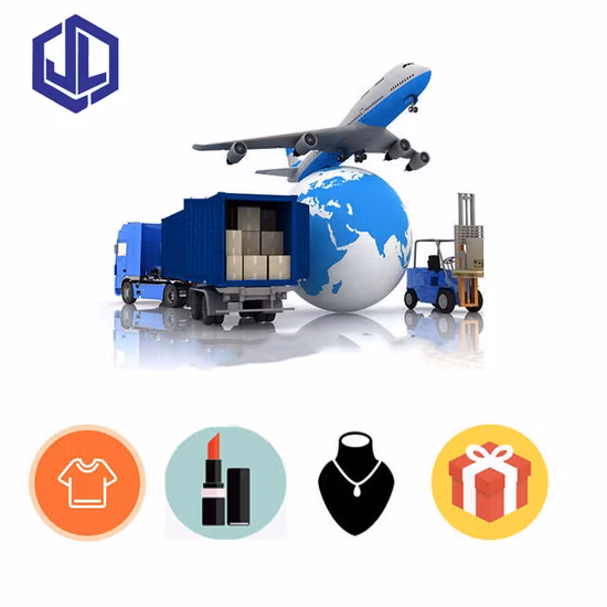 DDU DDP Drop Shipping From China to De/Germany Amazon Fba